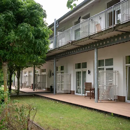 Schneeeule 220 * Granzow